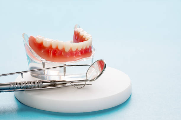 Dental X-Rays and Imaging in Indian Shores, FL